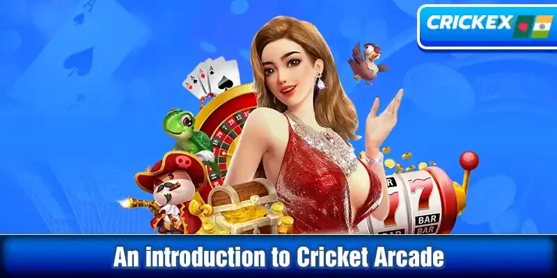an introduction to cricket arcade