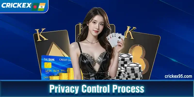 Privacy Control Process